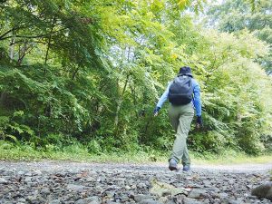 車も通る道。クマの出没注意のため、熊鈴など対策必須
