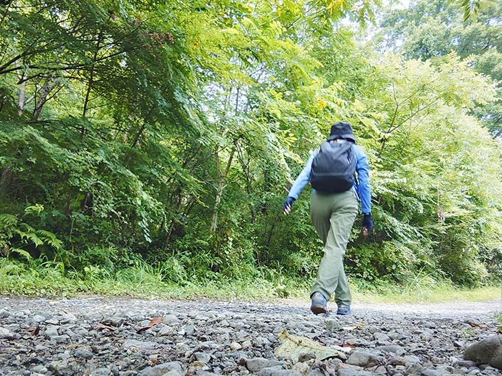 車も通る道。クマの出没注意のため、熊鈴など対策必須
