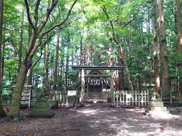 奥宮。神域のため犬の散歩禁止だそう [食楽web]