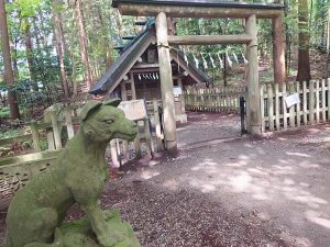 奥宮と狛犬