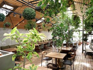 今まで行ったどんなお店よりも鮮やかな店内の緑