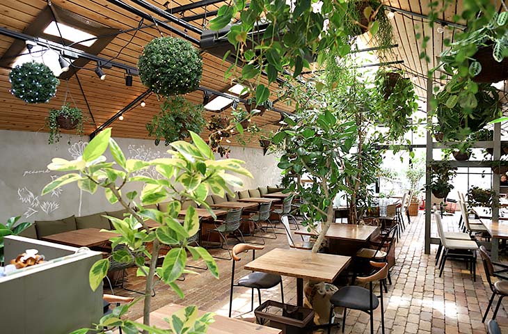 今まで行ったどんなお店よりも鮮やかな店内の緑