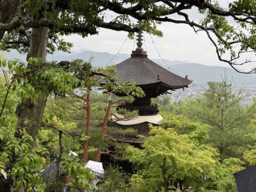 そうだ 京都、行こう。JR東海のCMに登場する京都の美食と寺社仏閣をめぐる旅へ