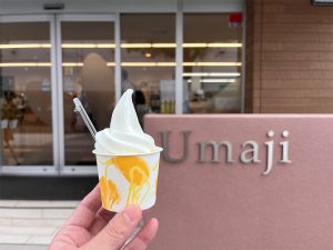 馬路村アンテナショップの「ゆずソフトクリーム」は絶品