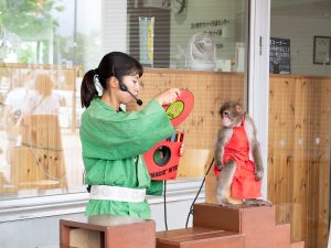この日はかわいらしい猿回しのイベントも行われていました[食楽web]