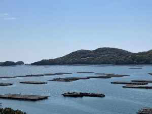 虫明湾
