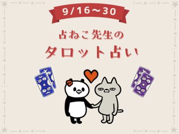 9月後半、あなたの運勢を占います【占ねこ先生の幸せを呼ぶ無料タロット占い】