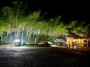 メイン会場となる「たがみバンブーブー竹林」。平日の夜にもかかわらず、多くの観光客が訪れていた