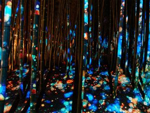 プロジェクションマッピングも実施。幻想的な竹林風景に圧倒される