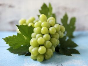 色艶はもちろん、糖度の高さも人気の「シャインマスカット」