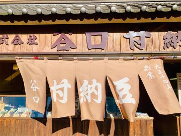 甘納豆の概念が変わる！横浜で百年続く老舗『谷口甘納豆』のあんずの甘納豆がおいしい理由