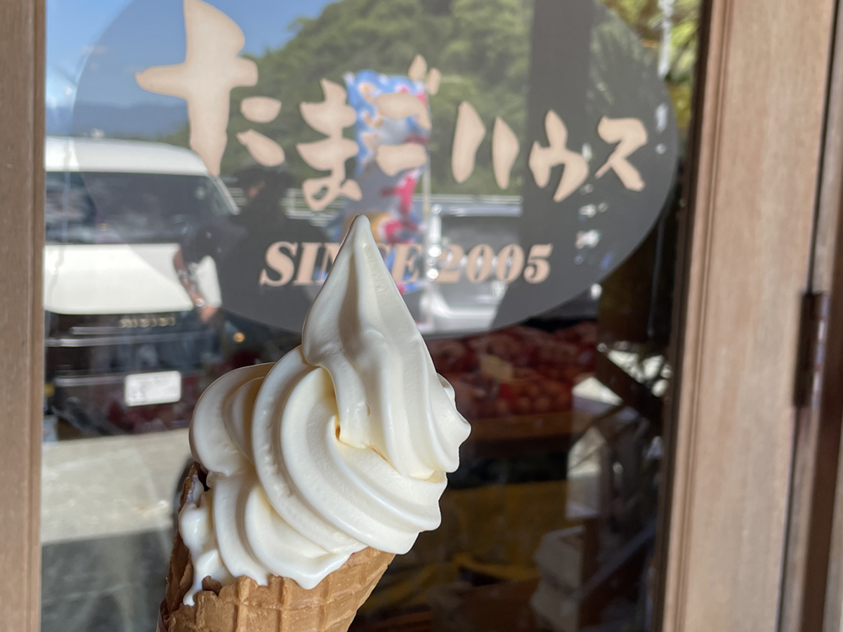 夏季限定!牛乳も卵も濃厚でこの誘惑には勝てません