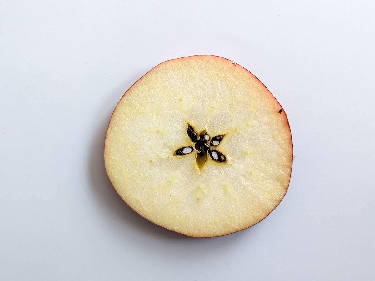 [食楽web]