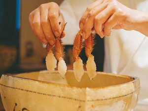 職人技に圧倒されるライブ感