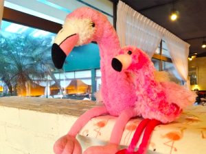 レジ横ではフラミンゴのぬいぐるみも売られているので、「フラミンゴを連れて帰る」もできちゃうのです