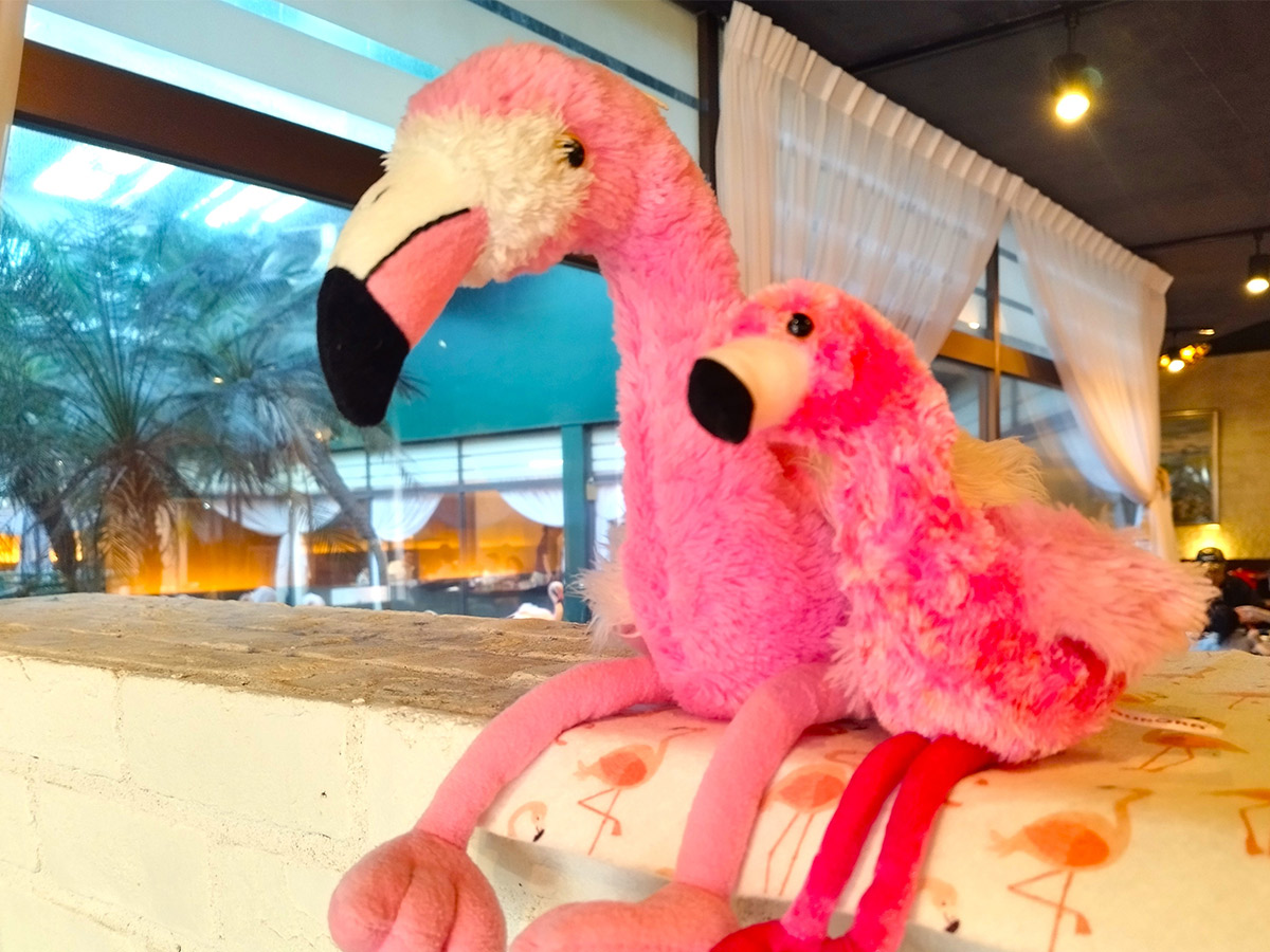 レジ横ではフラミンゴのぬいぐるみも売られているので、「フラミンゴを連れて帰る」もできちゃうのです
