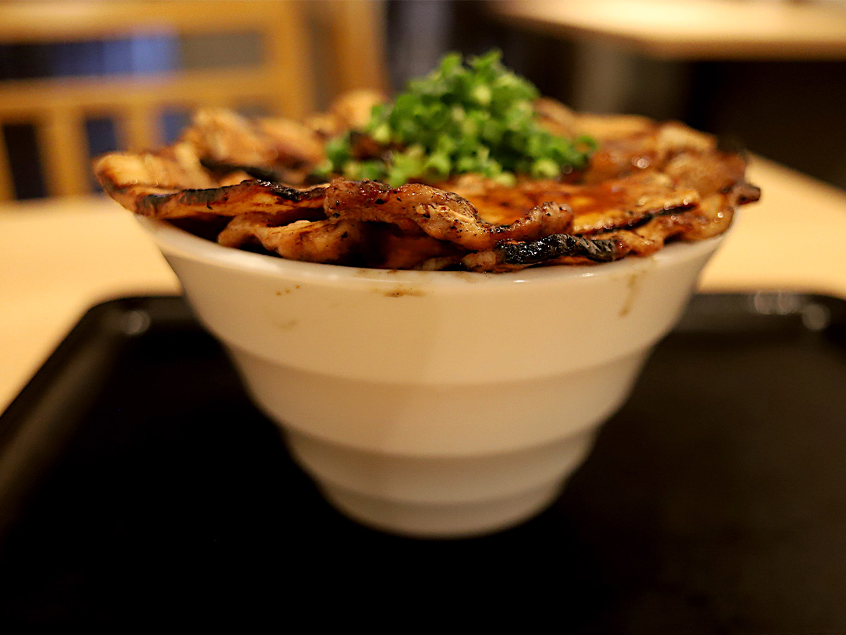 横から見るとこんな感じ、お肉に負けじとお米もたっぷり