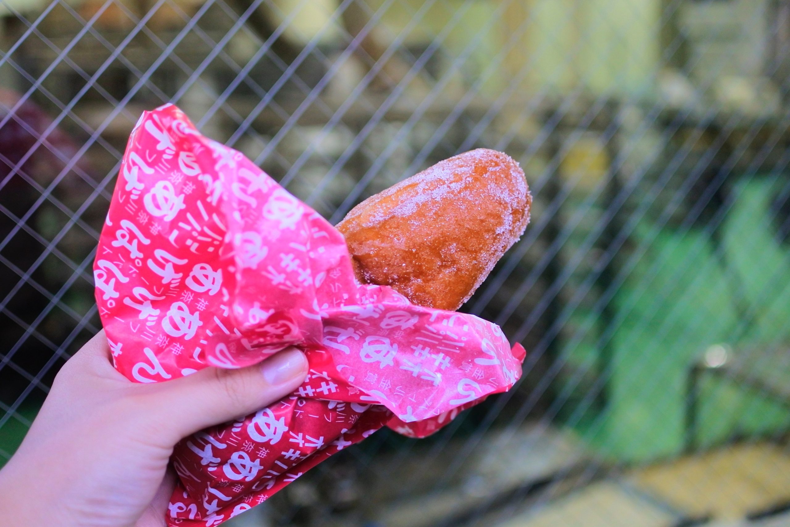 出来立てのサク、じゃり、ふわ、の食感がたまりません~