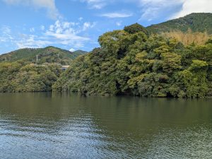 11月から徐々に紅葉が見ごろを迎えるそうです