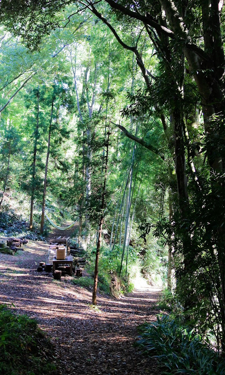 焚火スペースやハンモック、マウンテンバイク用のコースもあります