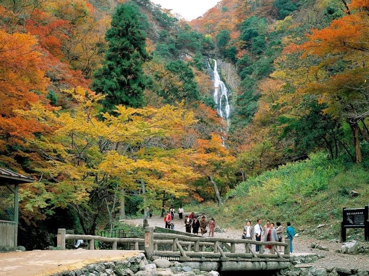 滝と紅葉の見事な絶景が広がる「神庭の滝」