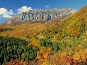 車を走らせれば迫力ある山の景色が広がります