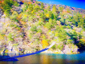 紅葉シーズン真っ盛りの“夢の吊り橋”へ。絶景と温泉、山の幸をめぐる静岡・川根本町さんぽ