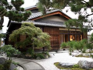 大きな松の木が印象的な『京都離宮』