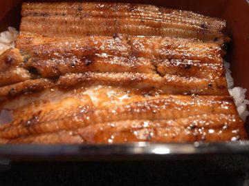 創業300年。“うなぎのまち・成田”の老舗日本料理屋『菊屋』で味わう鰻重が旨い！