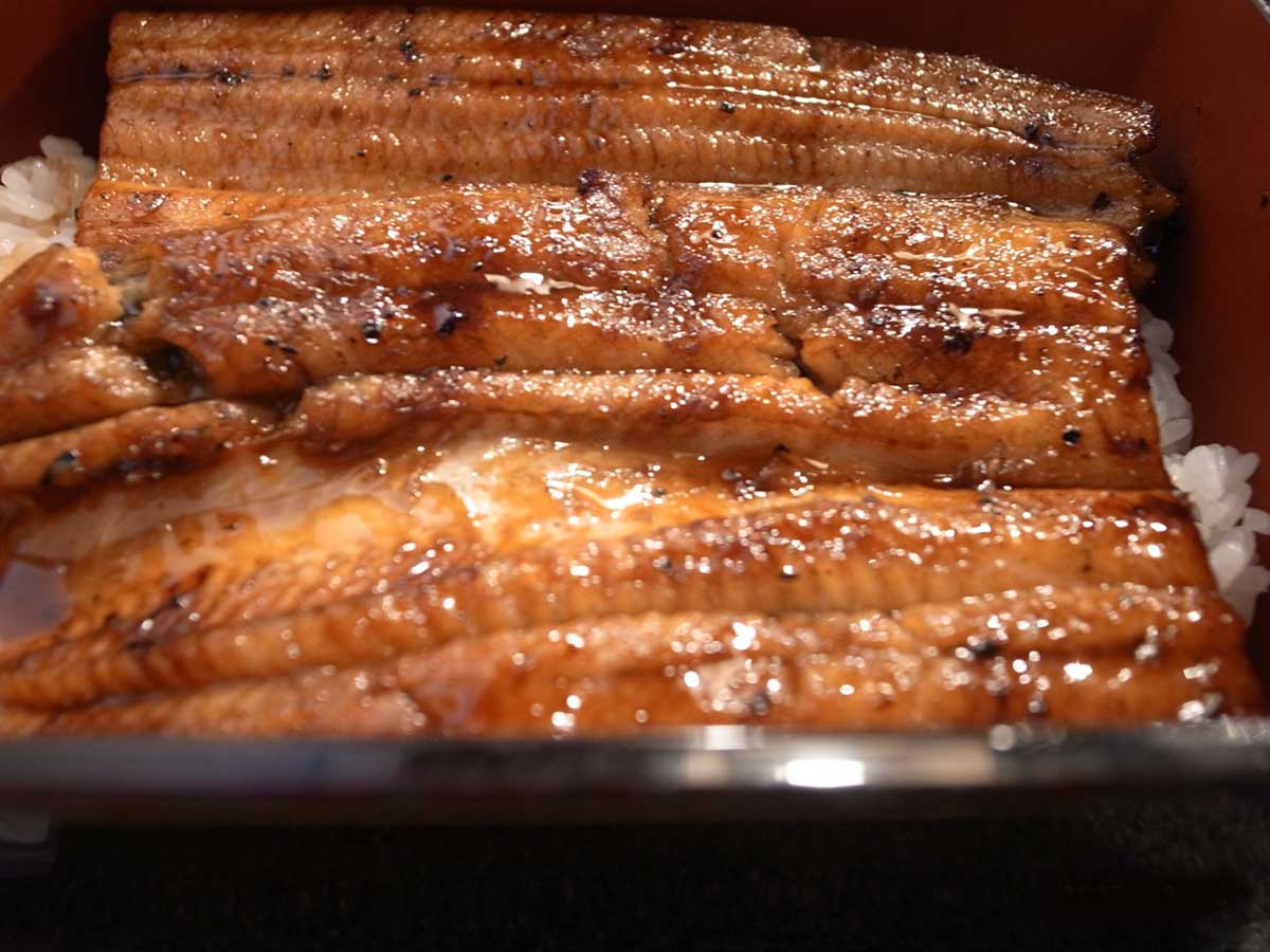 創業300年。“うなぎのまち・成田”の老舗日本料理屋『菊屋』で味わう鰻重が旨い！