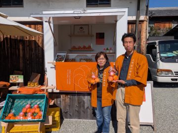 “柿の概念が変わる”と評判。奈良・天理『松田果樹園』の刀根早生柿と極上ジェラート