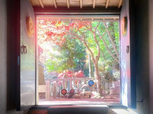 真っ赤に色づく紅葉は圧巻ですよ