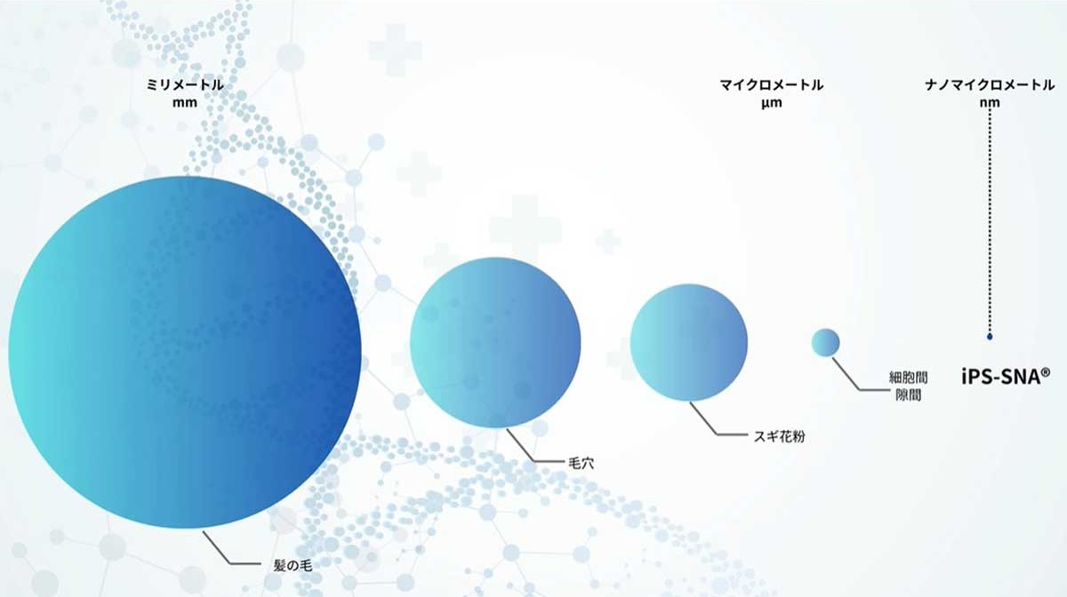 『ICELLEAP』が独自技術で開発した美容成分iPS-SNA®の微細化イメージ