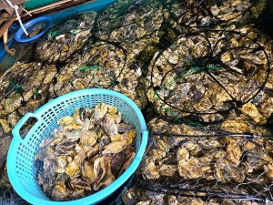 去年は牡蠣（1kg 1,200円）。身が締まり濃厚な旨み。冬のごちそうを自宅で気軽に