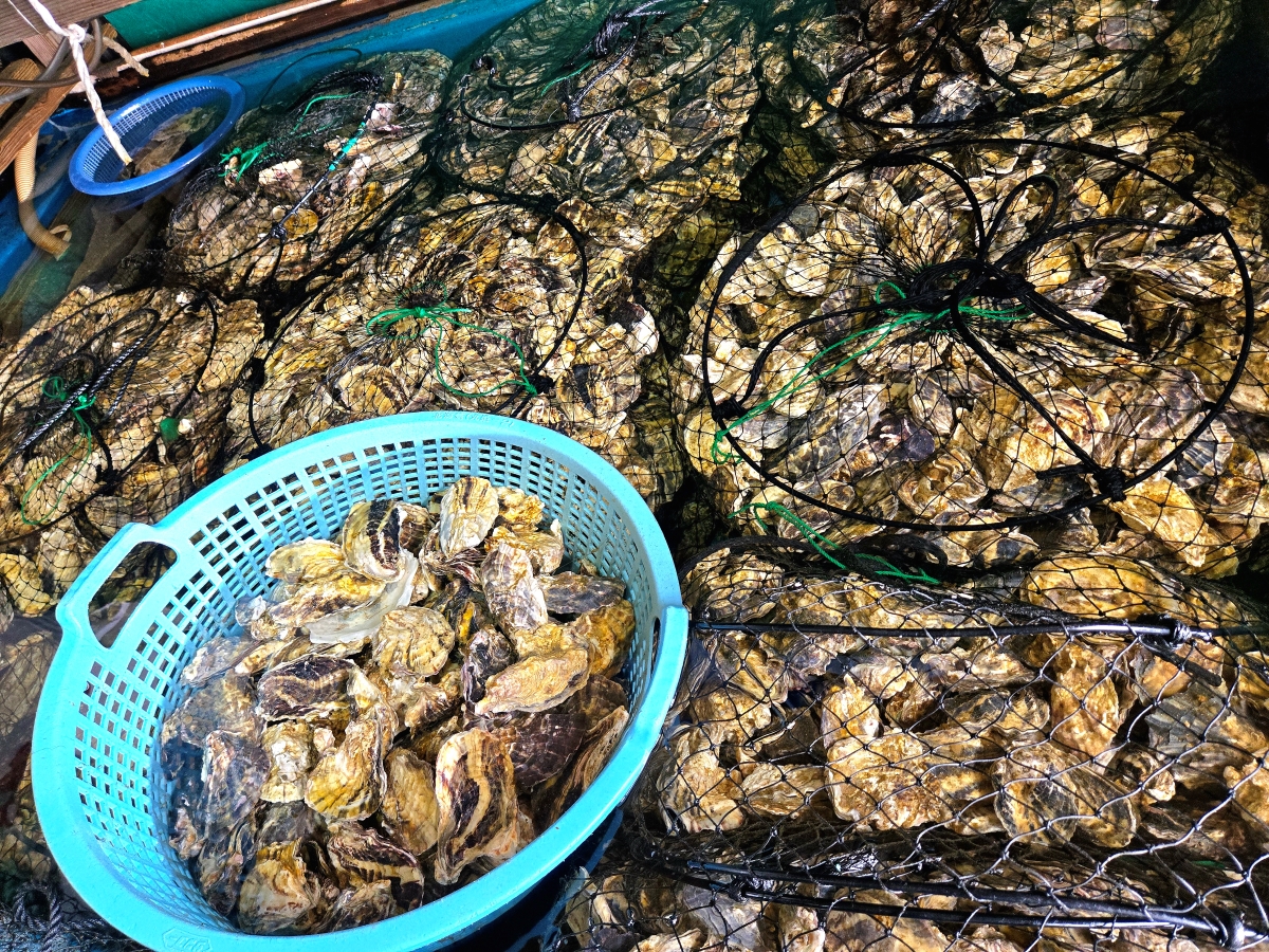 去年は牡蠣（1kg 1,200円）。身が締まり濃厚な旨み。冬のごちそうを自宅で気軽に