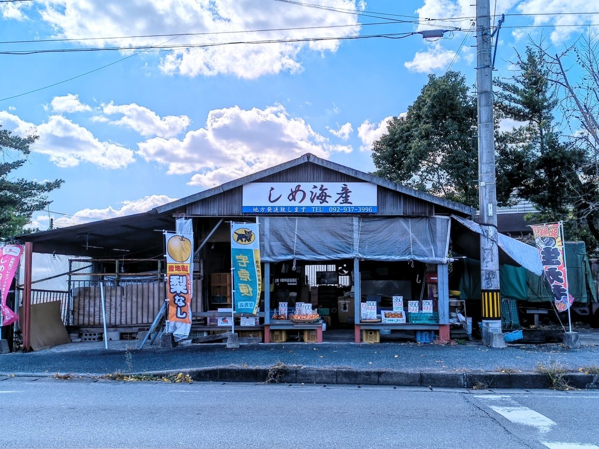 志免町で50年続く『しめ海産』の店構え。地元の人にとって冬の牡蠣はここで買うのが定番