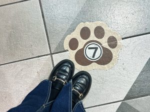 にゃんとも可愛らしい並び列の順番の立ち位置