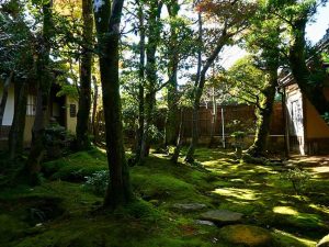 美しい日本庭園を望める珍しい酒蔵