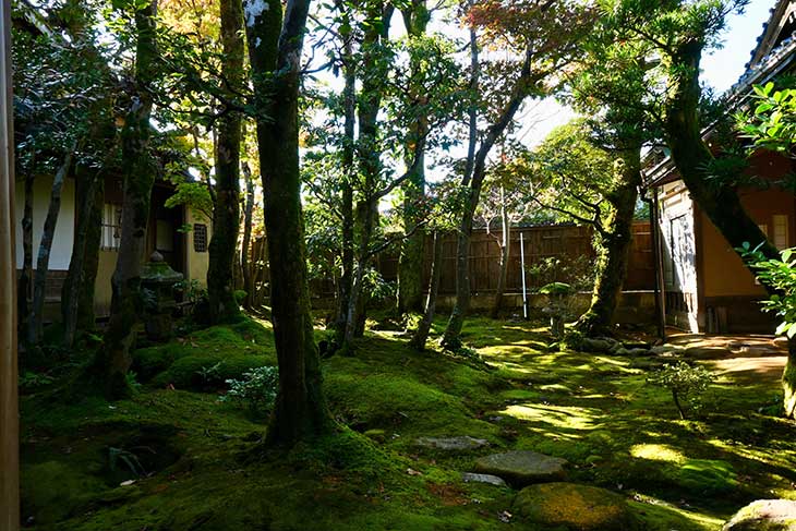 美しい日本庭園を望める珍しい酒蔵