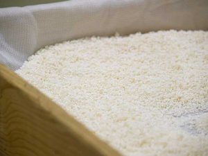 大事な原料の一つ、酒米
