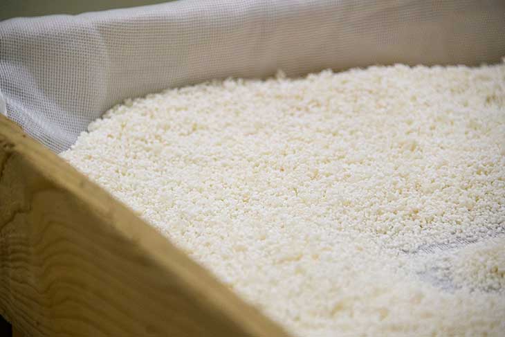 大事な原料の一つ、酒米