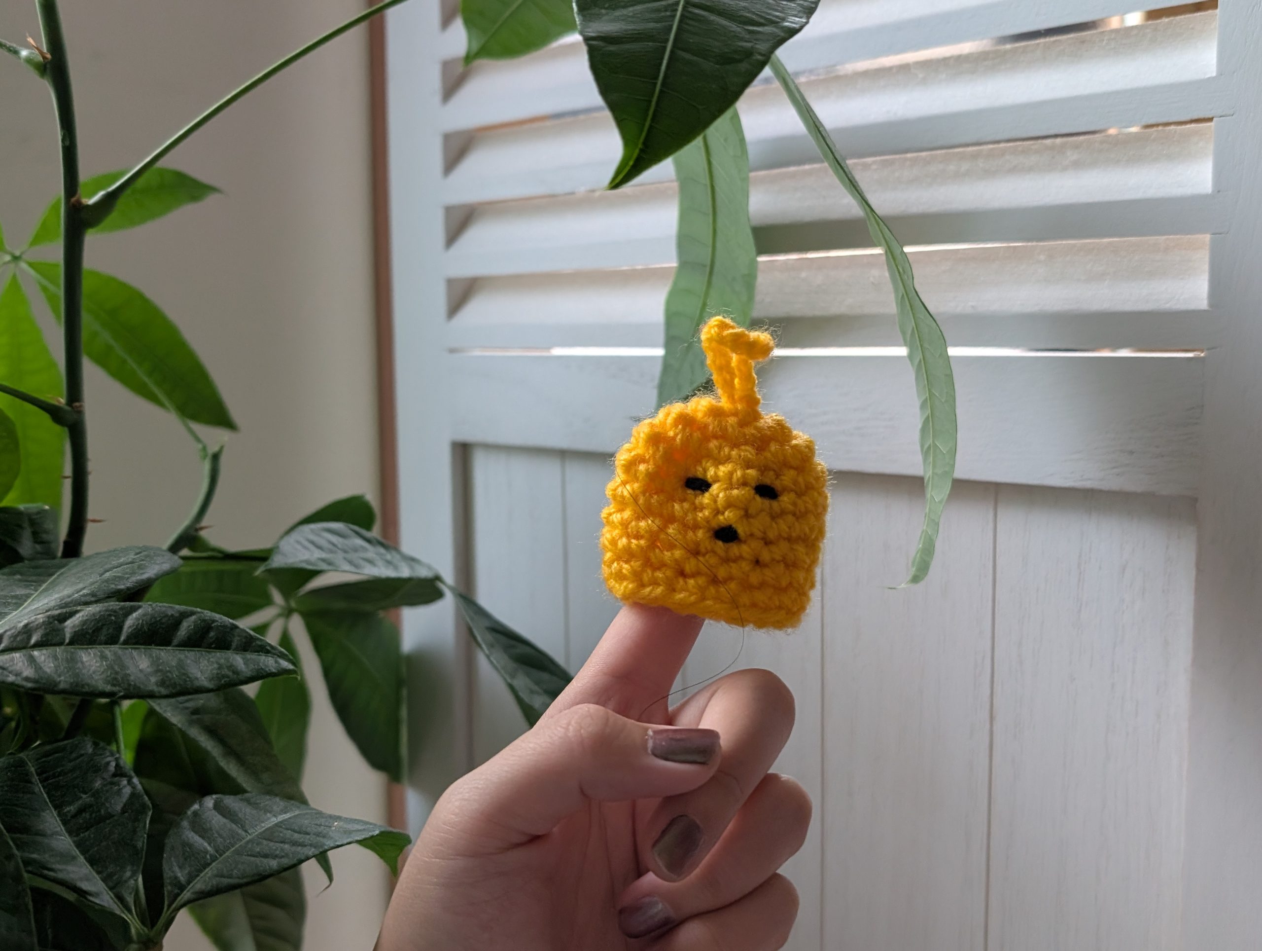 表情の芸術点が高めのホヤの中身。人差し指をいれて、小回りが利きます［食楽web］