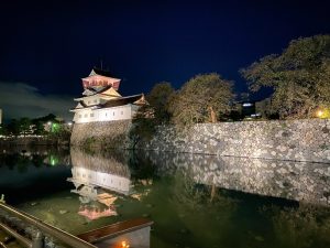 夜のライトアップも幻想的（秋頃撮影）