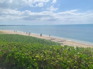 ウミカジテラスは、食後の散策も楽しめます［食楽web］