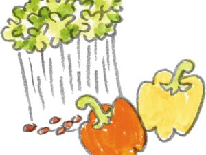 抗酸化力がずば抜けているのがブロッコリースプラウトとパプリカ ［食楽web］