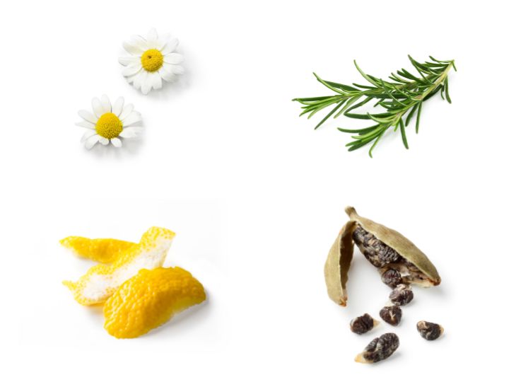 キーボタニカルの「カモミール」「ローズマリー」「カルダモン」「柚子の皮」